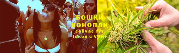 не бодяженный Бородино